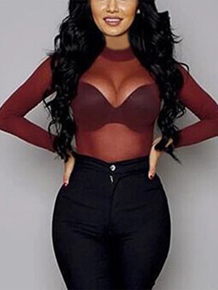 Women's Sheer Mesh Turtleneck Top – Long Sleeve Lace Detail