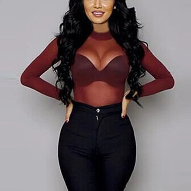 Women's Sheer Mesh Turtleneck Top – Long Sleeve Lace Detail