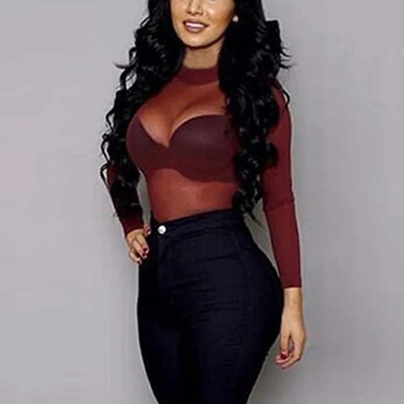 Women's Sheer Mesh Turtleneck Top – Long Sleeve Lace Detail