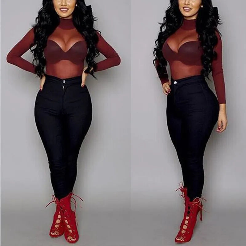 Women's Sheer Mesh Turtleneck Top – Long Sleeve Lace Detail