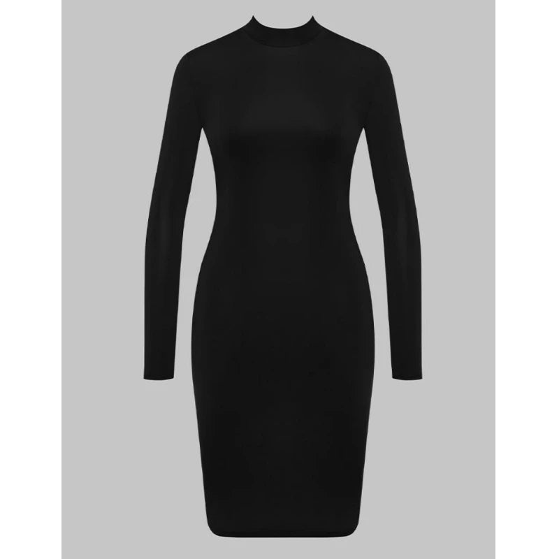 Net Sash Patchwork A-Line Dress — Long Sleeve Slim Fit Dress